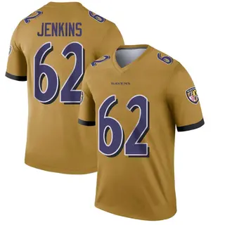 Baltimore Ravens Youth John Jenkins Legend Inverted Jersey - Gold